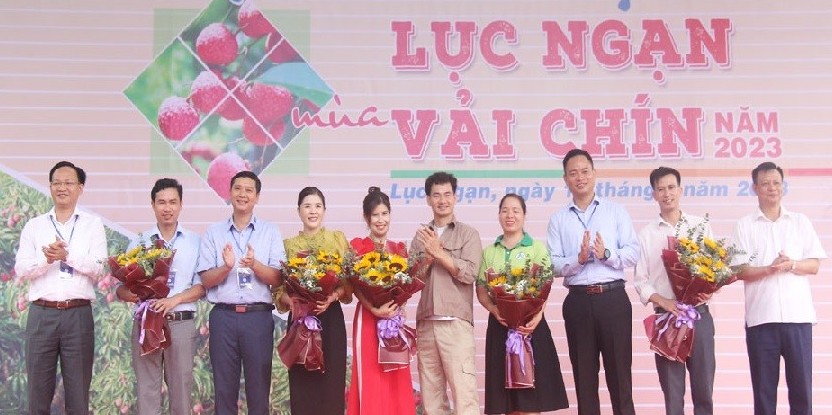 Bac Giang starts tourism promotion programme in lychee harvest season