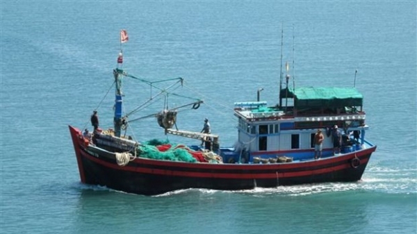 Quang Tri enhances efforts to fight IUU fishing