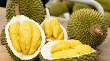UK a potential market for Vietnamese durian: Traders