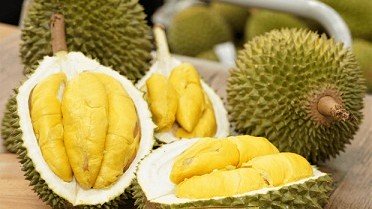 UK a potential market for Vietnamese durian: Traders