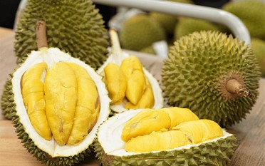 UK a potential market for Vietnamese durian: insiders