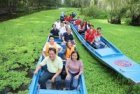 Tra Su Melaleuca Forest - The 