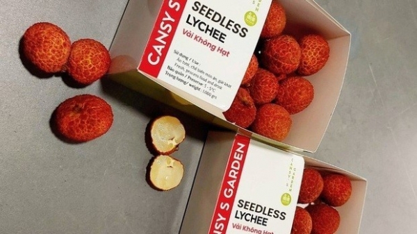 First batch of Vietnamese seedless lychees available in UK market