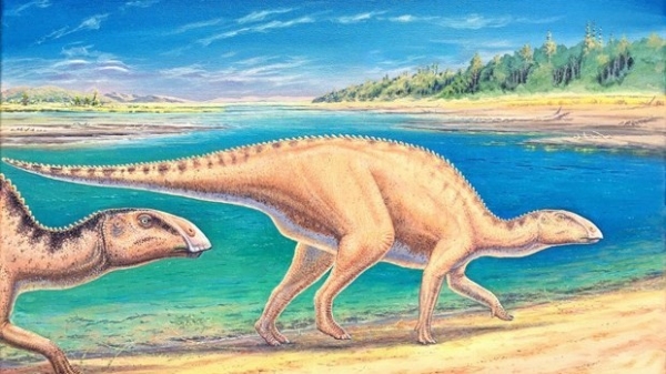 Phát hiện mới về loài khủng long mỏ vịt tại Chile