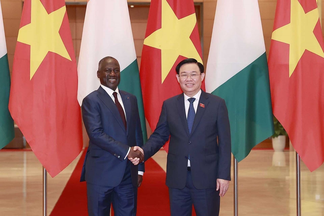 Review on external affairs from June 12-18: Deepening relations with C&ocirc;te d&rsquo;Ivoire; UAE FM&rsquo;s visit to Vietnam