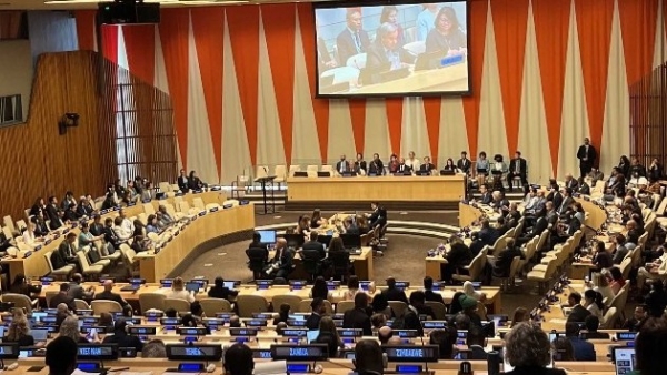 Vietnam hails UN adoption of high seas treaty: Ambassador to UN