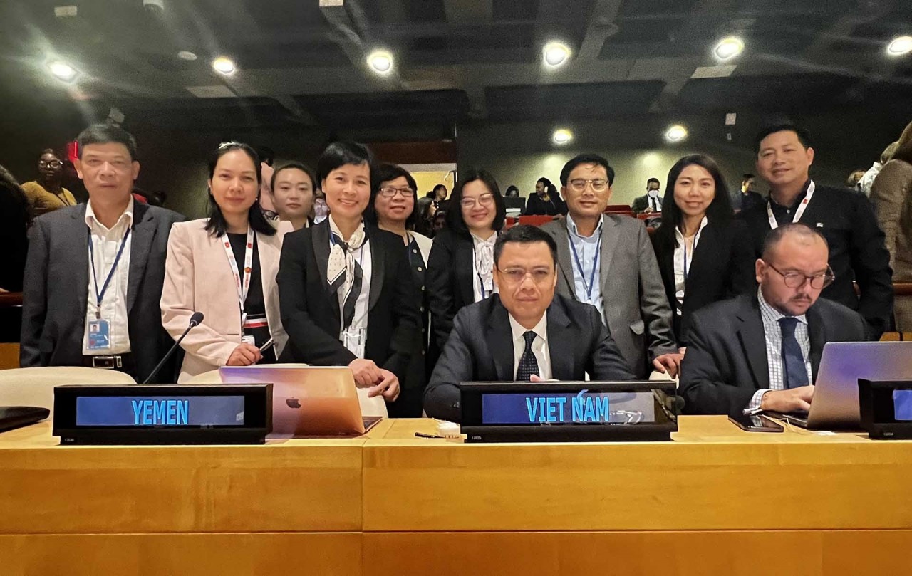 Vietnam hails UN adoption of high seas treaty: Ambassador to UN