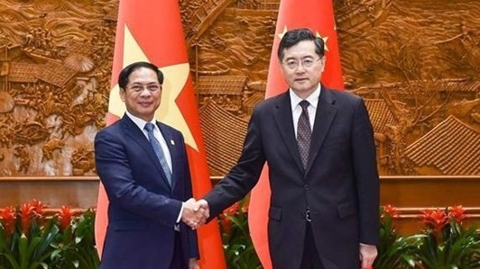 Vietnam, China Foreign Ministers discuss measures to promote bilateral ties