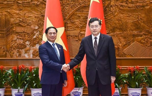 Vietnamese, Chinese Foreign Ministers discuss measures to pro