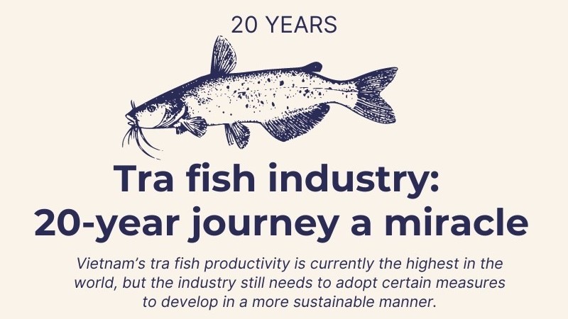 Tra fish industry: 20-year journey a miracle