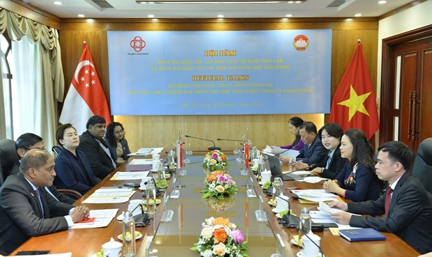 Vietnam Fatherland Front, People's Association of Singapore hold talks
