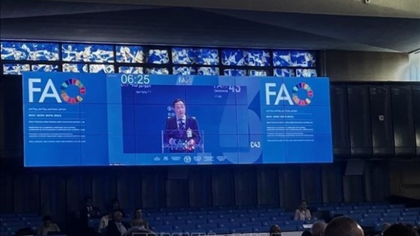 Vietnam presents proposals at 43rd FAO conference’s plenary meeting: Ambassador