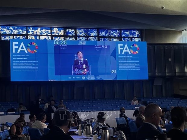 Vietnam presents proposals at 43rd FAO conference’s plenary meeting: Ambassador