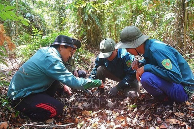 Eco-tourism project in Ca Mau's U Minh Ha National Park approved