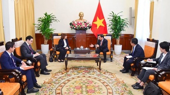Foreign Minister Bui Thanh Son receives Egyptian Ambassador to Vietnam