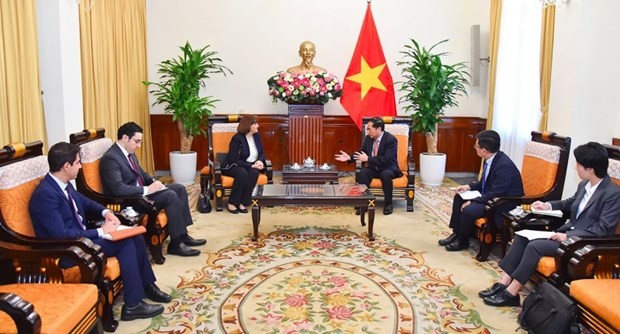 Foreign Minister Bui Thanh Son receives Egyptian Ambassador to Vietnam