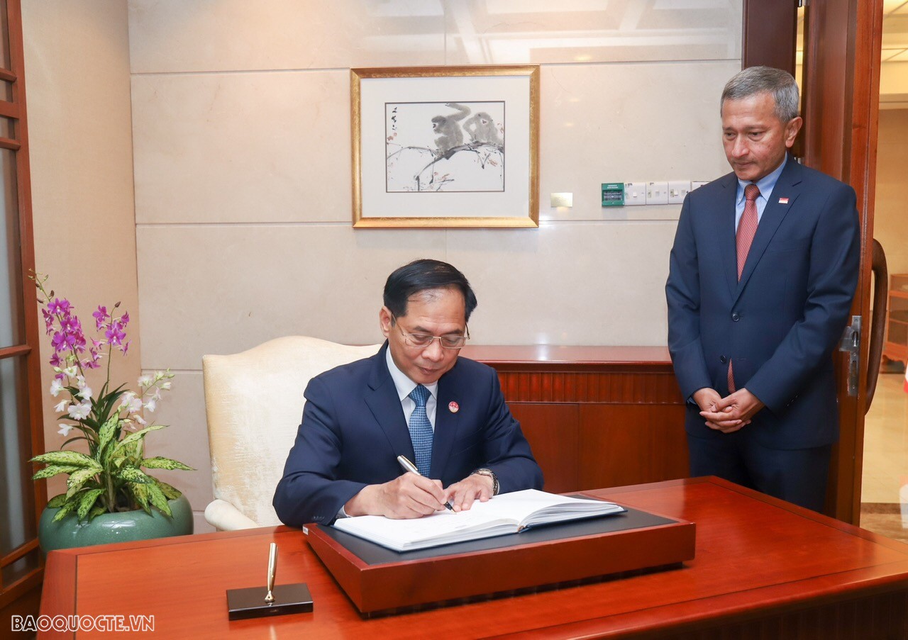 Foreign Minister Bui Thanh Son pays official visit to Singapore