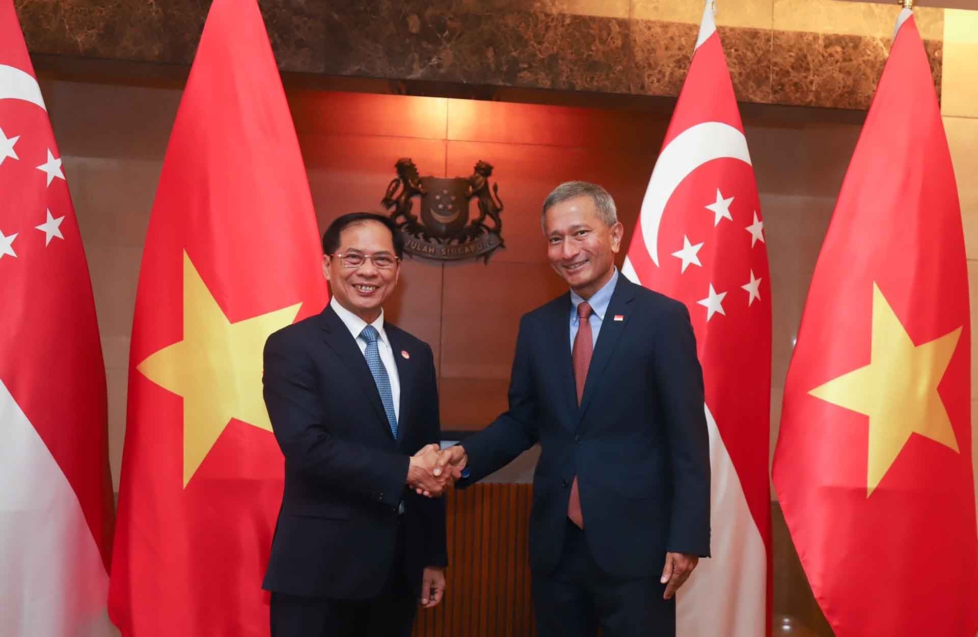 Bộ trưởng Ngoại giao Bùi Thanh Sơn và Bộ trưởng Ngoại giao Singapore Vivian Balakrishnan.