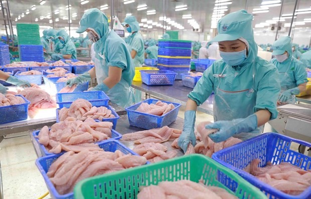Aquatic product exports likely to reach 9 billion USD this year: VASEP | Business | Vietnam+ (VietnamPlus)