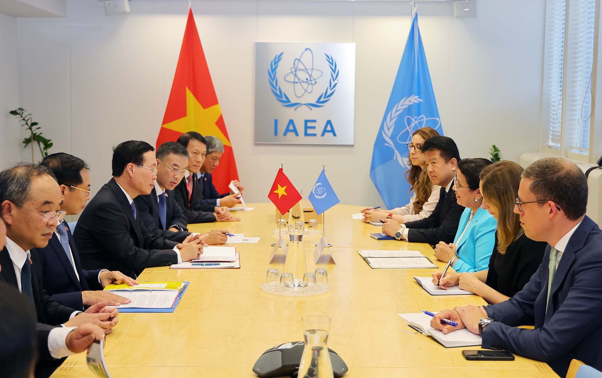 President Vo Van Thuong received Acting Director General of IAEA