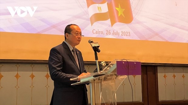 Deputy PM attends celebration of 60th anniversary of Vietnam - Egypt diplomatic ties