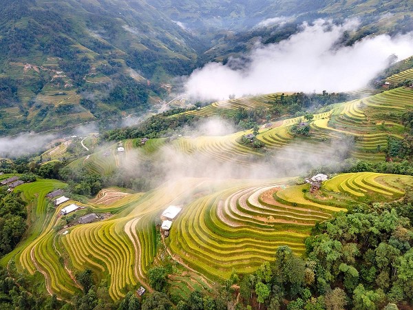 Travel programme to highlight beauty of Hoang Su Phi terraced fields