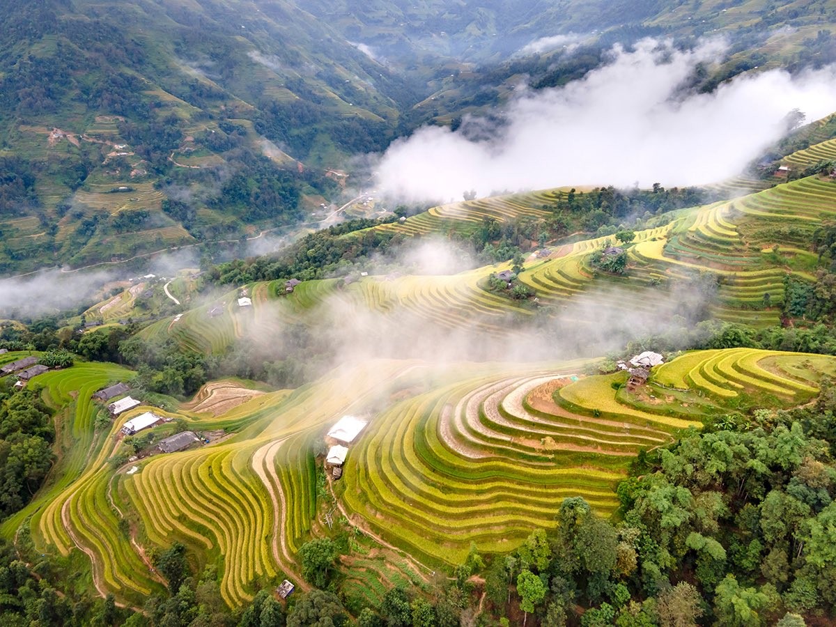 Travel programme to highlight beauty of Hoang Su Phi terraced fields
