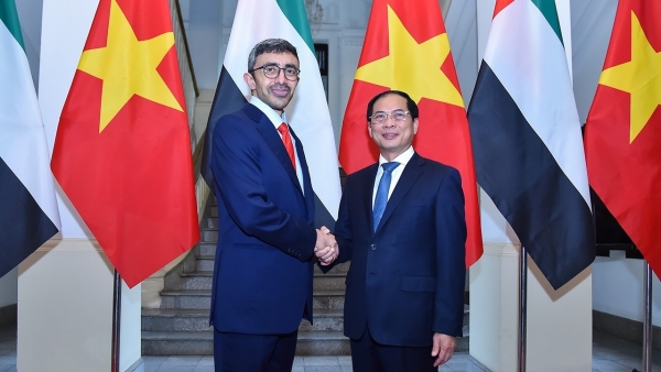 Vietnam - UAE relationship has flourished across fields