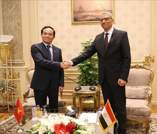Deputy PM Tran Luu Quang’s visit to Egypt has been a success: Deputy FM