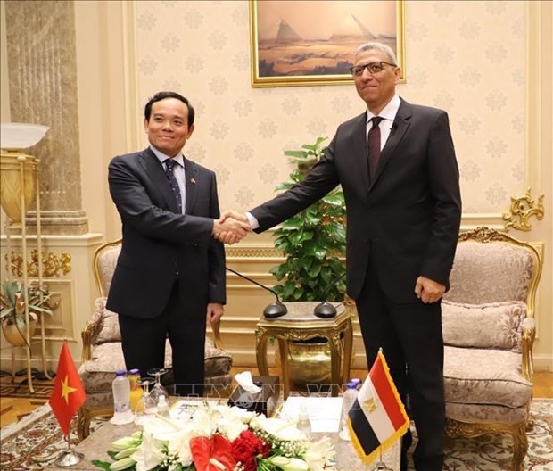 Deputy PM Tran Luu Quang&rsquo;s visit to Egypt has been a success: Deputy FM