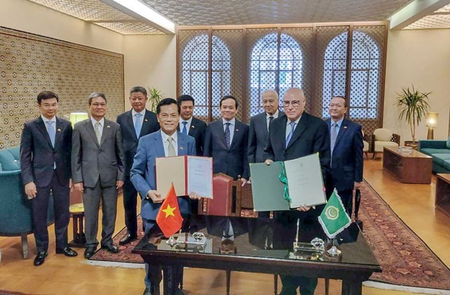 Deputy PM Tran Luu Quang&rsquo;s visit to Egypt has been a success: Deputy FM