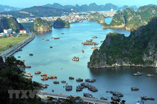 Ha Long authorities re-arrange docking areas for water vehicles