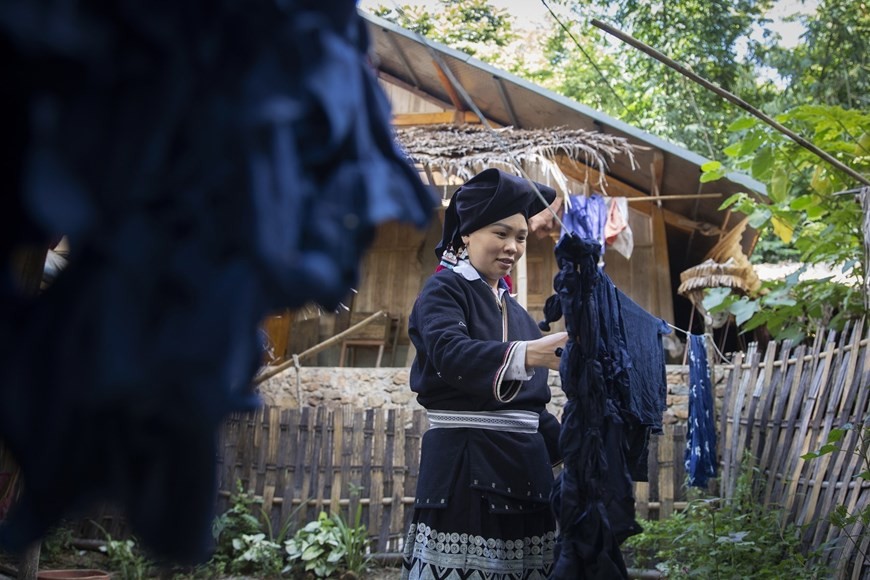 The cloth is hung out to dry after being dyed indigo. (Photo; VNA)