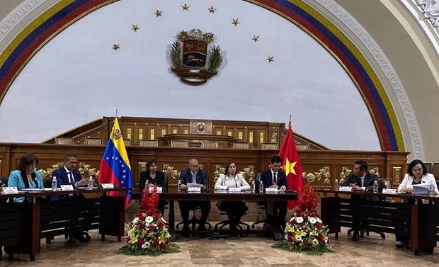 The working session between the delegation of the Vietnamese NA's Council for Ethnic Affairs and the Venezuelan Ministry of Indigenous Peoples. (Photo: VNA)