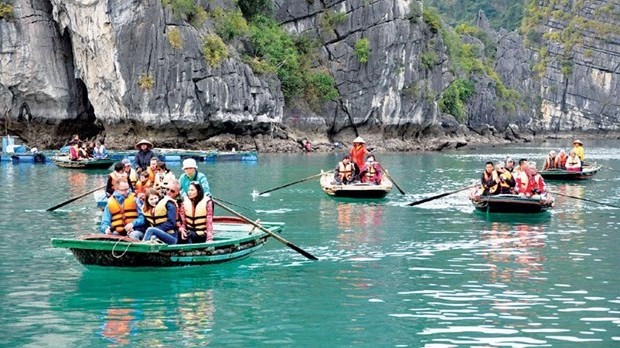 Tourism companies expect busy months to come with foreign visitors: VNAT