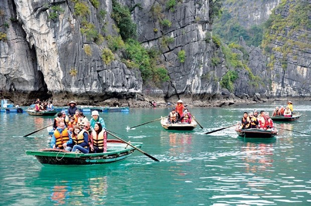 Tourism companies expect busy months to come with foreign visitors | Travel | Vietnam+ (VietnamPlus)