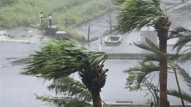 Vietnam Airlines to adjust flight schedules over Typhoon Khanun impact