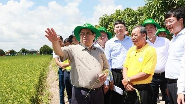 Prime Minister Pham Minh Chinh visits agricultural production facilities in Dong Thap