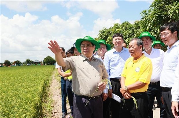 Prime Minister visits agricultural production facilities in Dong Thap