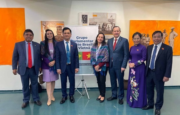 NA Council for Ethnic Affairs paid a working visit to Brazil