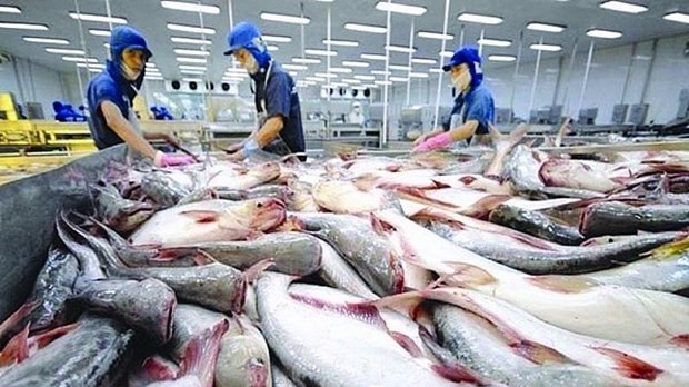 CPTPP reels in more export opportunities for fisheries sector