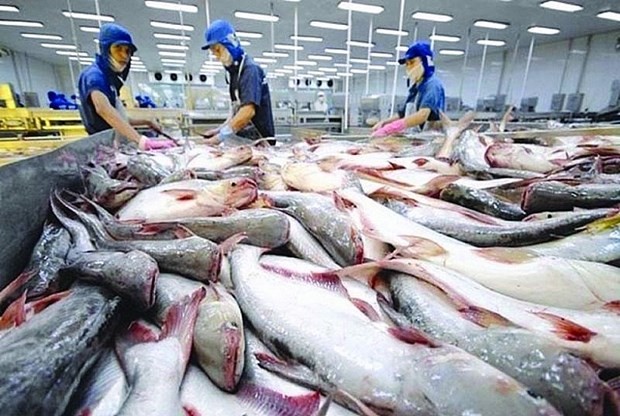 CPTPP reels in more export opportunities for fisheries sector | Business | Vietnam+ (VietnamPlus)