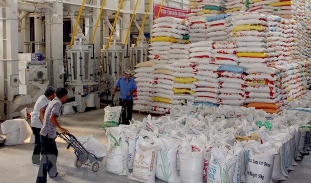 Building long-term strategy on rice exports, market stabilisation: MOIT official
