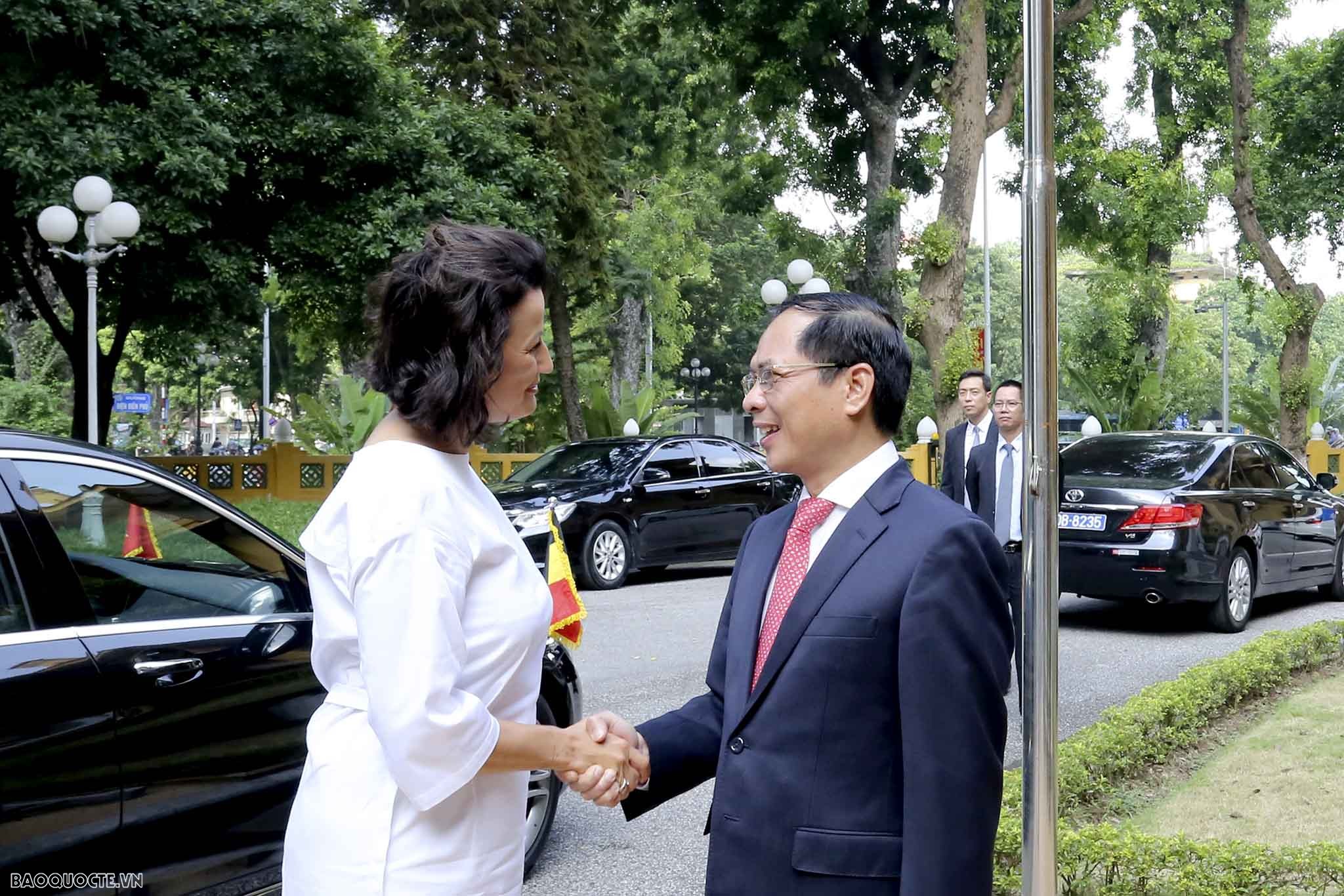 Foreign Minister Bui Thanh Son receives Belgian Senate President