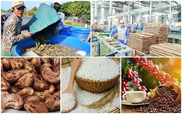 Trade surplus reaches 20.19 billion USD in eight months | Business | Vietnam+ (VietnamPlus)