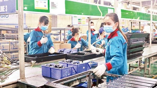 Employees work at Sunhouse Group Joint Stock Company (Photo: nhandan.vn)