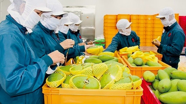 EVFTA facilitates Vietnam’s agricultural product exports to EU market