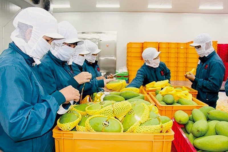 EVFTA facilitates Vietnam&rsquo;s agricultural product exports to EU market