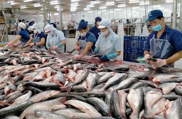 US assesses safety of Vietnam's tra fish exports: MARD