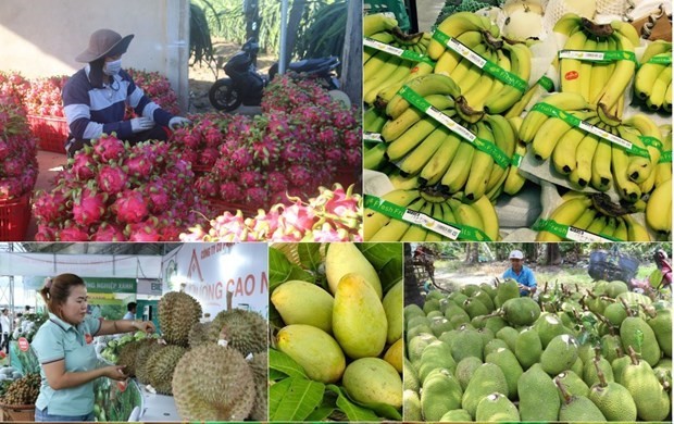 AgroViet 2023 to promote Vietnamese, foreign agricultural products